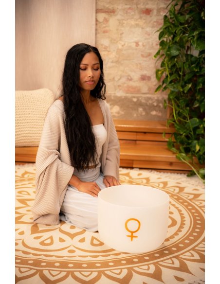 SONIC ENERGY PCSB12V SONIC ENERGY PCSB12V