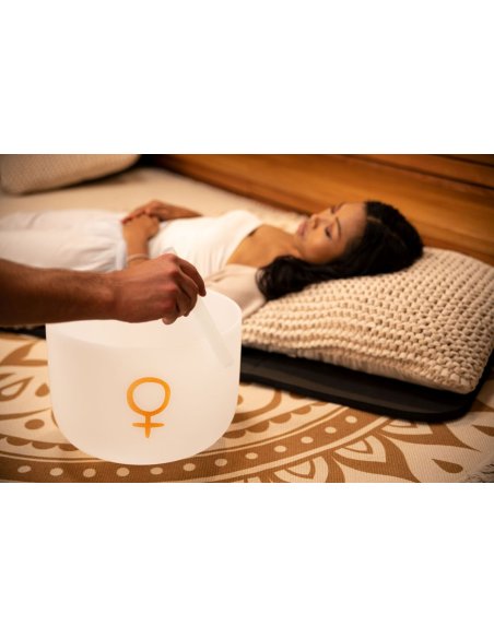 SONIC ENERGY PCSB12V SONIC ENERGY PCSB12V