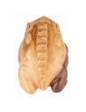 NINO PERCUSSION NINO514NT
