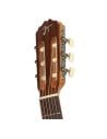 JOSE TORRES JTC-5S WINE RED