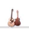 FURCH BLUE GC-SW