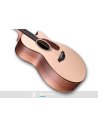 FURCH BLUE GC-SW