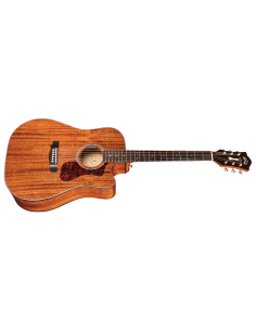 GUILD ITALIA D-120CE NAT 2