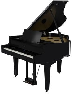 ROLAND GP-9 PE