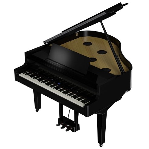 ROLAND GP-9 PE