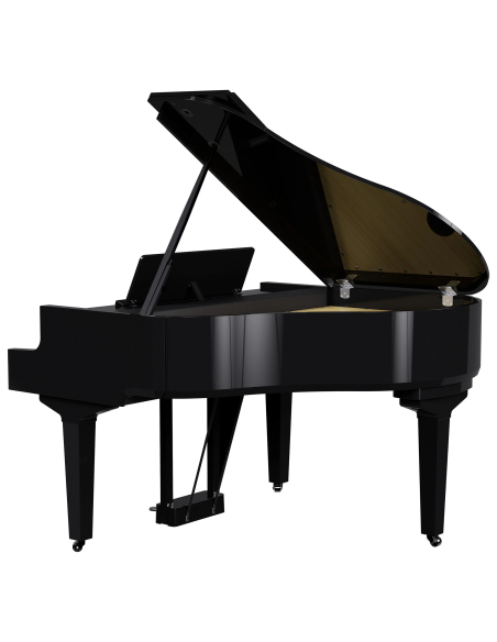 ROLAND GP-9 PE ROLAND GP-9 PE