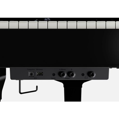 ROLAND GP-9 PE