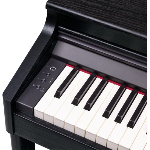 ROLAND RP-701 CB