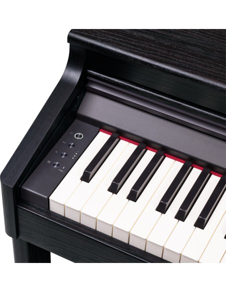 ROLAND RP-701 CB ROLAND RP-701 CB