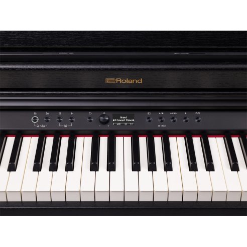 ROLAND RP-701 CB