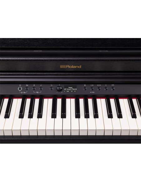 ROLAND RP-701 CB ROLAND RP-701 CB