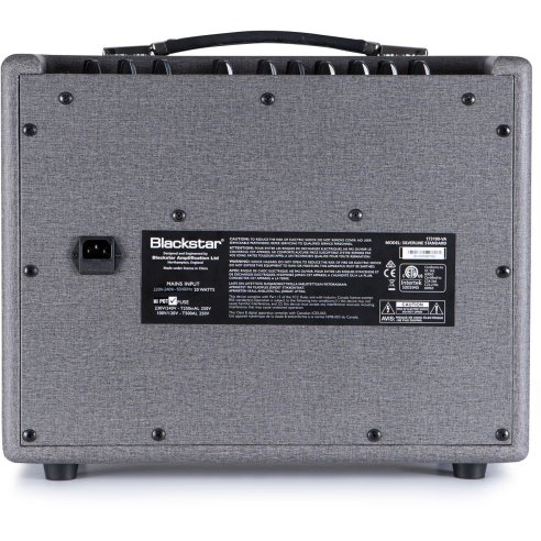 BLACKSTAR SILVERLINE 20W 1X10