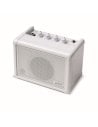CARRY ON CO-SPEAKER - MINI SPEAKER