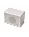 CARRY ON CO-SPEAKER-EXT - MINI EXTENSION SPEAKER