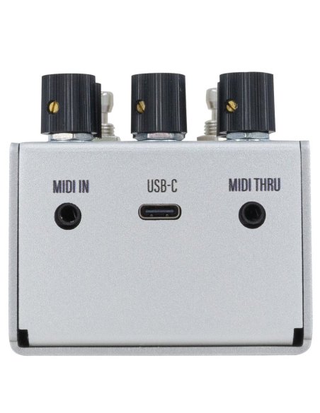 WALRUS AUDIO MAKO SERIES MKII D1