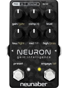 NEUNABER TECHNOLOGY NEURON