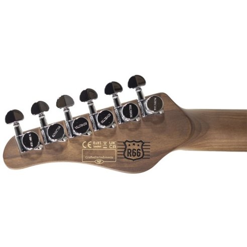 SCHECTER R66 VINTAGE PT SERIES