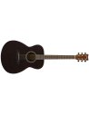 YAMAHA FS400 SMOKEY BLACK