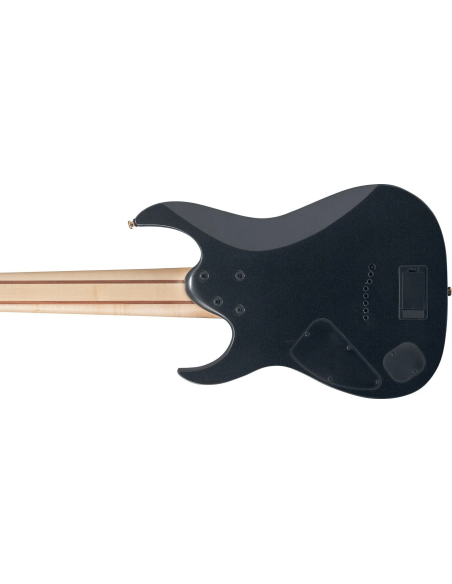 IBANEZ RG80F IPT IBANEZ RG80F IPT