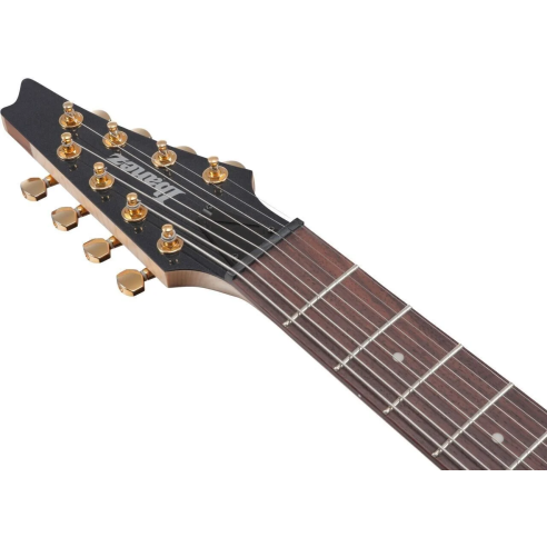 IBANEZ RG80F IPT