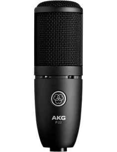 AKG P120