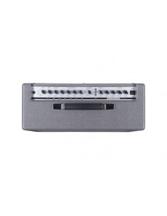 BLACKSTAR SILVERLINE DELUXE 100W 2