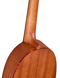 ORTEGA RUPA5 2