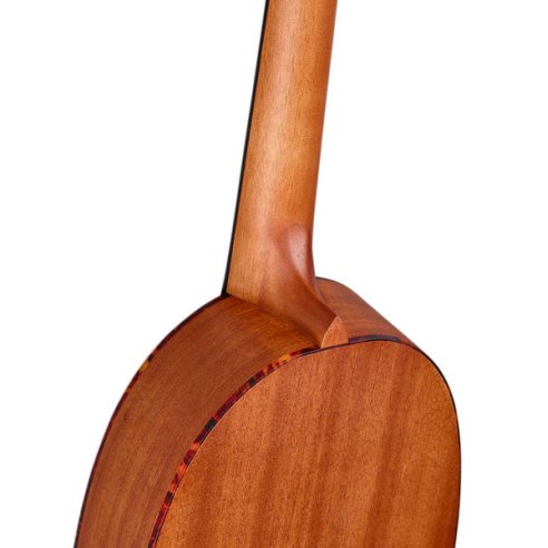 ORTEGA RUPA5