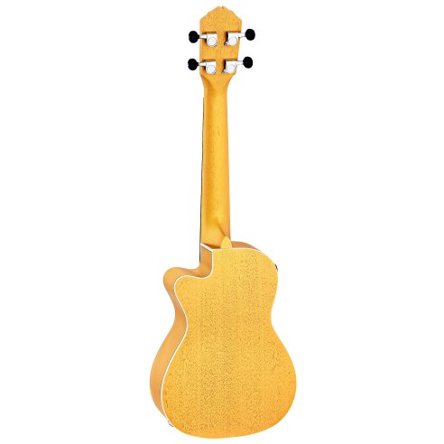 ORTEGA RUSUN-CE