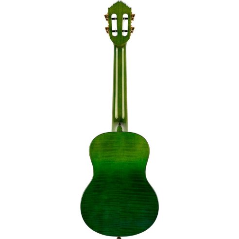 ORTEGA RUPR-IVY