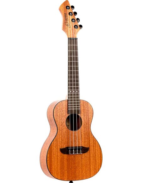 ORTEGA RUHZ-MM ORTEGA RUHZ-MM