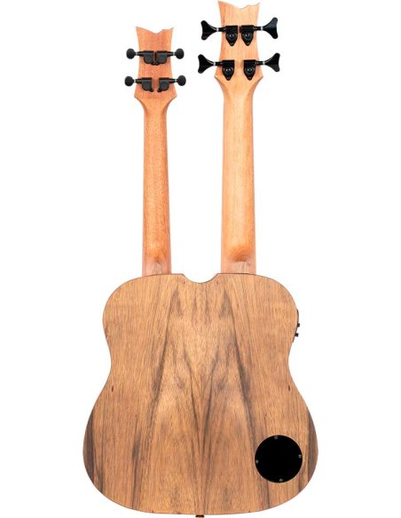 ORTEGA HYDRA-BSTE ORTEGA HYDRA-BSTE