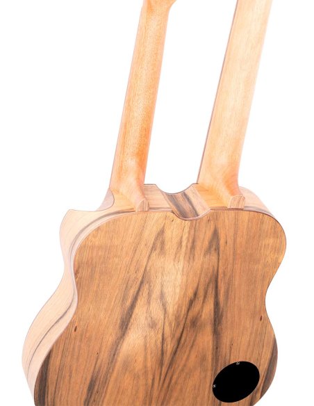 ORTEGA HYDRA-BSTE ORTEGA HYDRA-BSTE