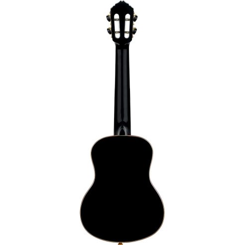 ORTEGA RUOX-TE