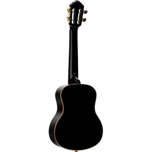 ORTEGA RUOX-TE