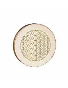 SONIC ENERGY WD16FOL