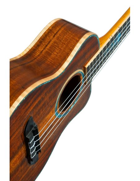 ORTEGA RUHZ30TH-JF ORTEGA RUHZ30TH-JF