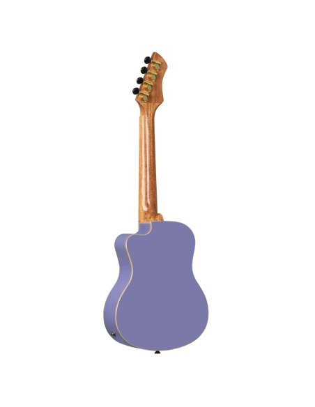 ORTEGA RUHZT-CE-VP ORTEGA RUHZT-CE-VP