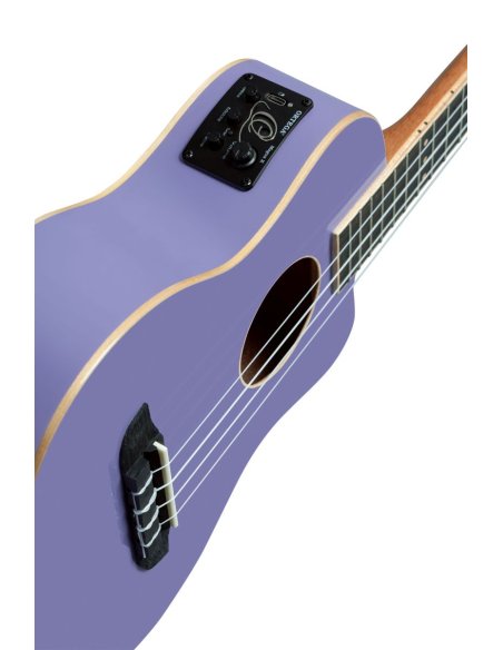 ORTEGA RUHZT-CE-VP ORTEGA RUHZT-CE-VP