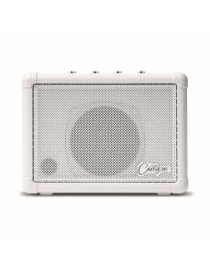 CARRY ON CO-SPEAKER - MINI SPEAKER 2