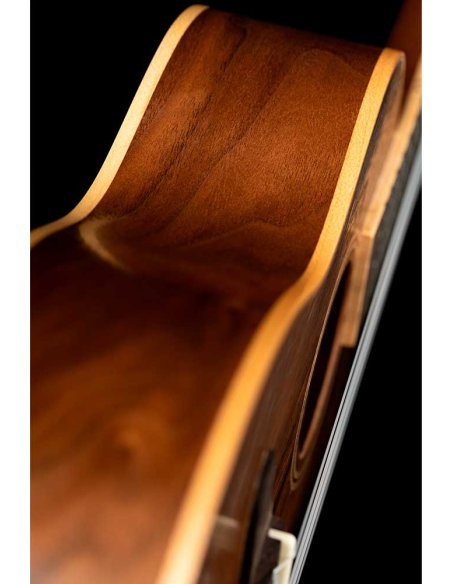 ORTEGA RUWN ORTEGA RUWN