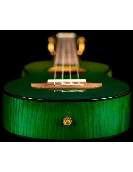 ORTEGA RUPR-IVY ORTEGA RUPR-IVY