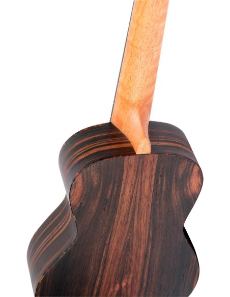 ORTEGA RUEB-CC-L ORTEGA RUEB-CC-L