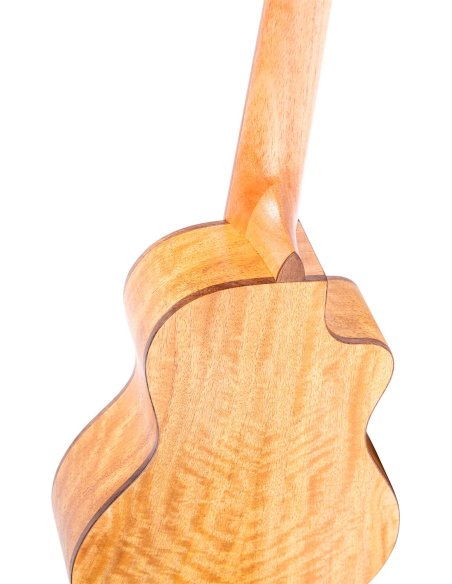 ORTEGA RUMG-CE-L ORTEGA RUMG-CE-L