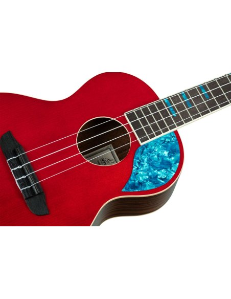 ORTEGA RUGH-SRT ORTEGA RUGH-SRT