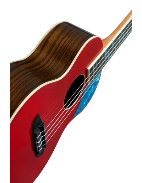 ORTEGA RUGH-SRT ORTEGA RUGH-SRT