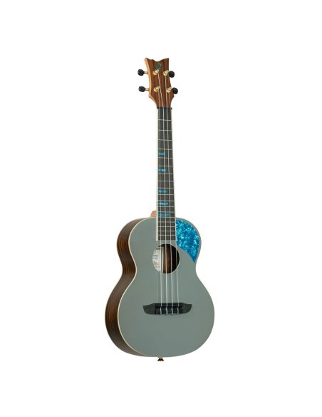 ORTEGA RUGH-PLT ORTEGA RUGH-PLT