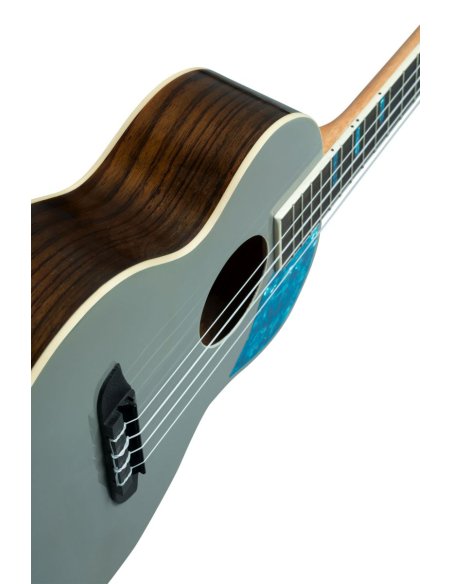 ORTEGA RUGH-PLT ORTEGA RUGH-PLT