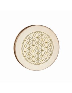 SONIC ENERGY WD16FOL