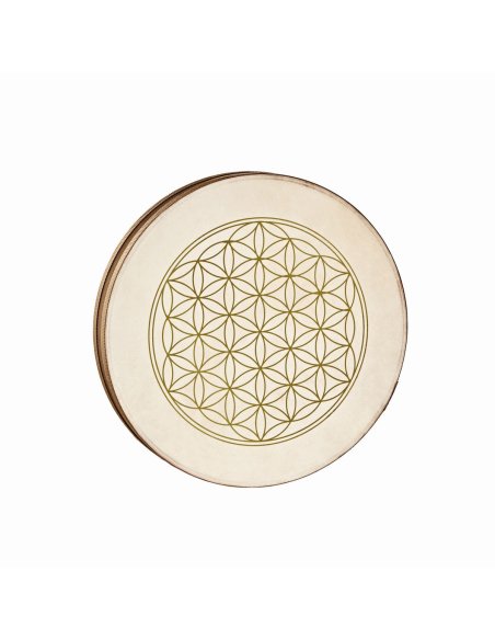 SONIC ENERGY WD16FOL